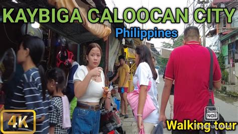 brgy 166 caloocan|Barangay 166 (Caloocan City, Philippines) .